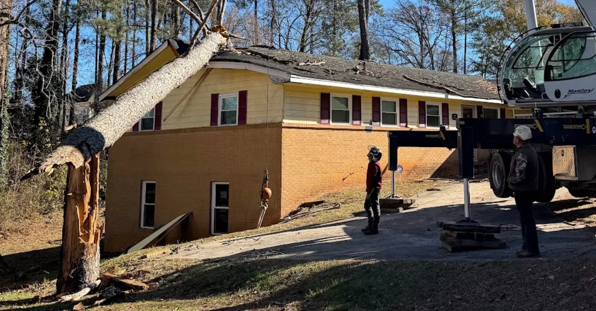 Tree crew using a crane to remove a large tree beside a Newnan home