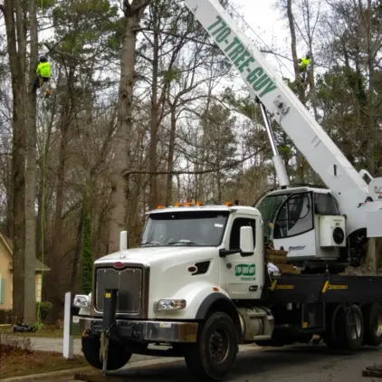 White Peterbilt bucket truck with crane parked on a tree-lined residential street.