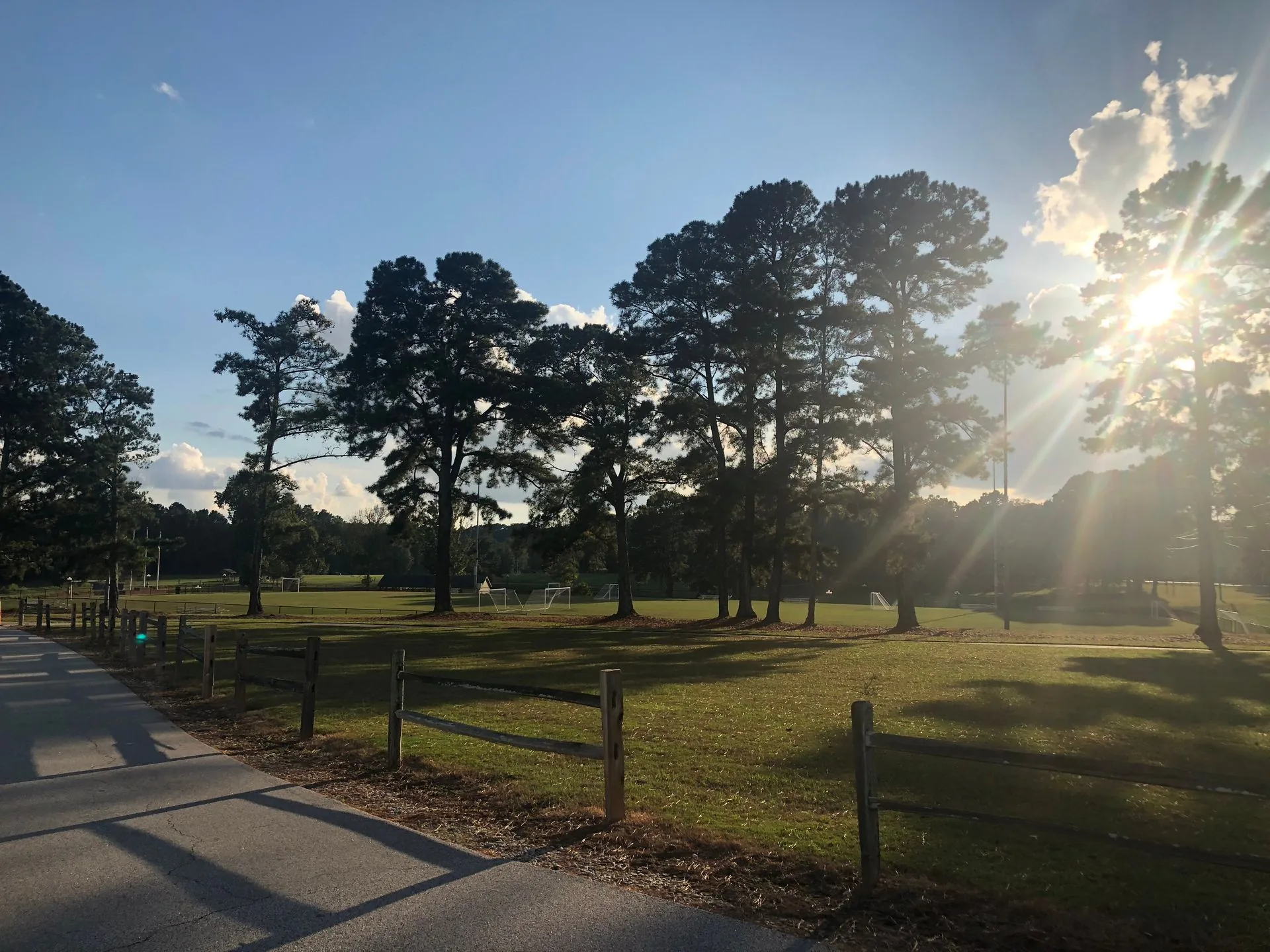 Sunlight filtering through tall trees in a McDonough, GA park