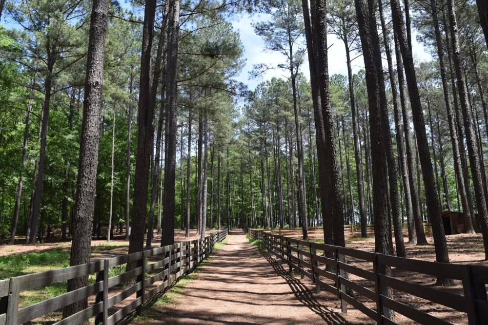 A split-rail fence along a wooded path near Palmetto, GA