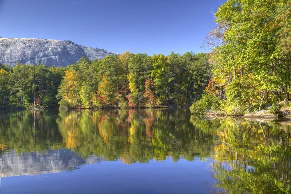 A tree-lined lake near Sharpsburg, GA