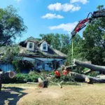 Large fallen tree crushing roof of home in South Metro Atlanta neighbourhood